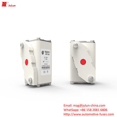 315A AC1000V 휴대용 EV 충전기 높은 파열 용량 자동차 피지