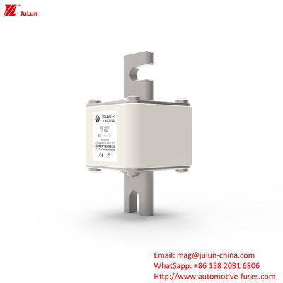 315A DC250V 휴대용 EV 충전기 퓨즈