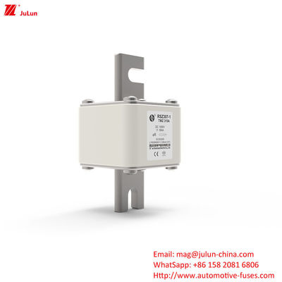 315A DC250V 휴대용 EV 충전기 퓨즈