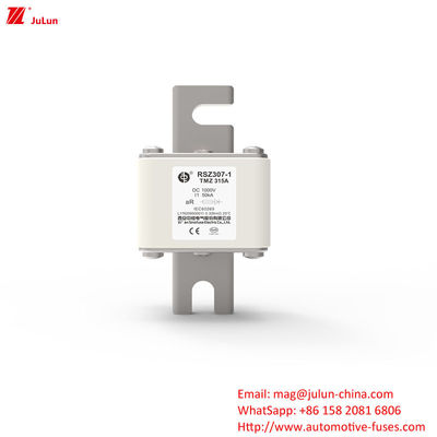 RSZ307 200A-450A DC250V 전기차 피지