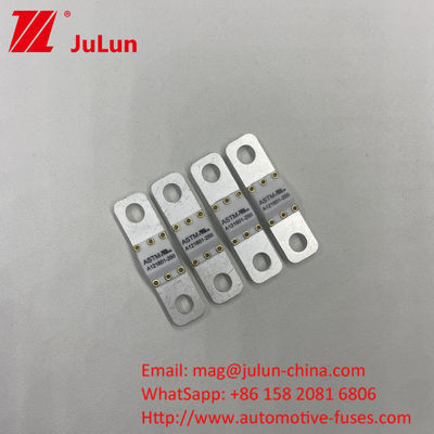 ASTM A121601-80A 자동차 마이크로 블레이드 피우스 80 Amp