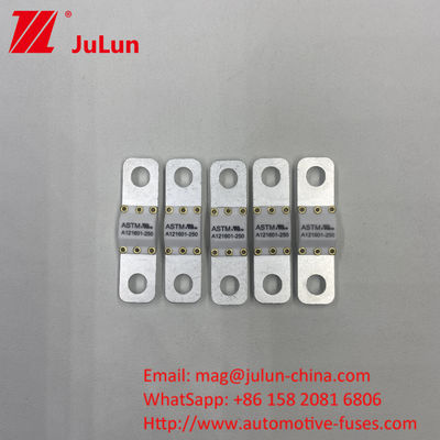 ASTM A121601-80A 자동차 마이크로 블레이드 피우스 80 Amp
