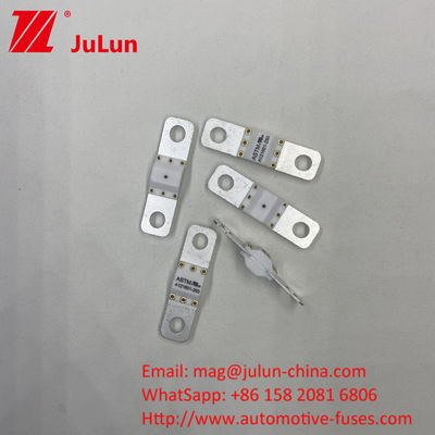 ASTM A121601-50A 자동차 내비게이션 터미널 퓨즈 전기 차량
