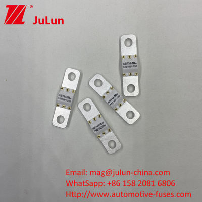 125 VDC 자동차 배터리 충전기 피지 A121601-300A 배터리 에너지 저장 모터사이클
