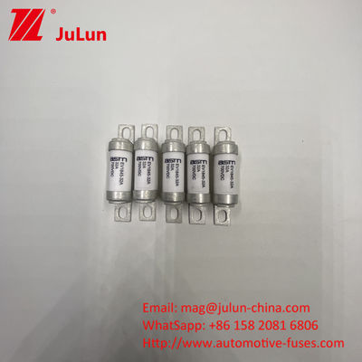 ASTM EV1845 40A 중형 볼트 퓨즈 전기 차량 충전기 M8 스크루 마운트