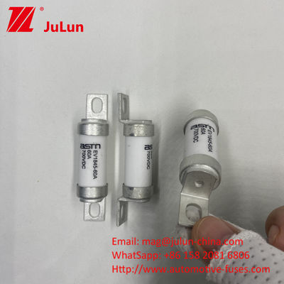 DC 전기 자동차 충전용 80A 700VDC M6 10kA 분쇄 용량 퓨즈