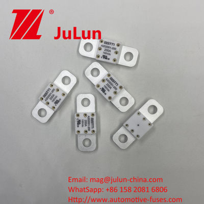 250A 150VDC A202001 자동차 충전기 및 기타에 대한 ASTM 세라믹 자동차 안전 장치