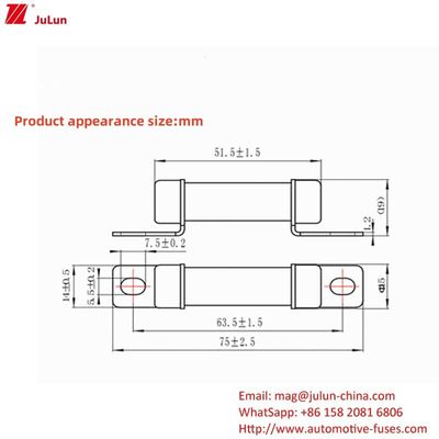 RS309 32A-35A -40A -50A 전류 Ev 충전자 어댑터 750VDC 전압과 호환