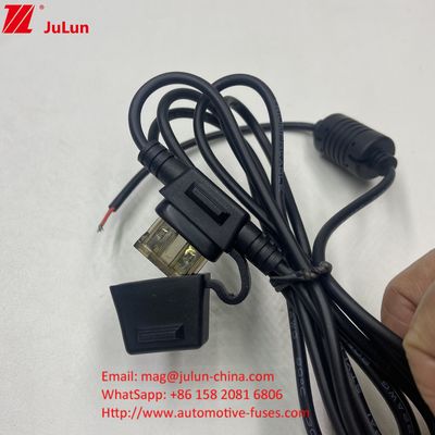 퓨즈 50A 맥시 현재 등급 빨간색 10AWG 와이어 280mm 전체 길이 직선 퓨즈 홀더