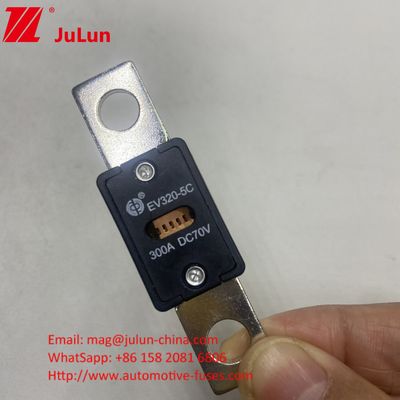 250A 70VDC 안전기 내구성 자동차 성능
