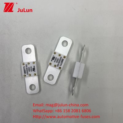 125VDC A202008 125VDC 200A 전압 휴대용 EV 충전기 퓨즈 전기 차량의 최종 충전 솔루션
