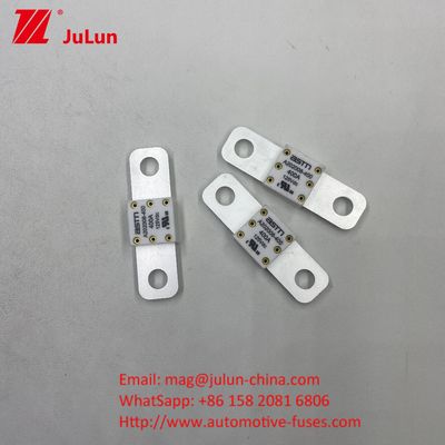 100A 125V DC 자동차 배터리 피지 안정적이고 효율적인 보호를 제공합니다