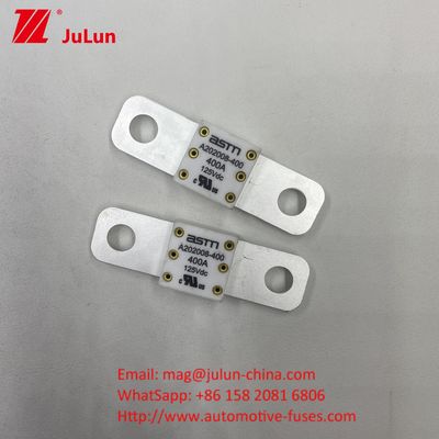 ANM AMM AEGA ANL CNN CNL 자동차 배터리 퓨즈 350A 125VDC