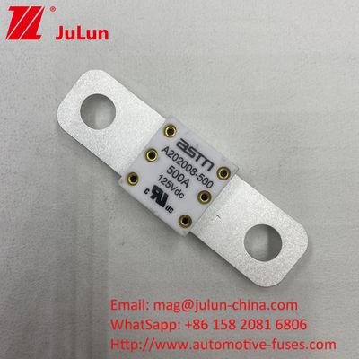 125VDC 200A ANM AMM AEGA ANL CNN CNL 자동차 배터리 안전 장치 자동차용