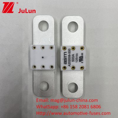 500A 오토 A202008 125VDC 휴대용 EV 충전기 퓨즈 100A 125A 150A 200A 250A 300A 400A 500A