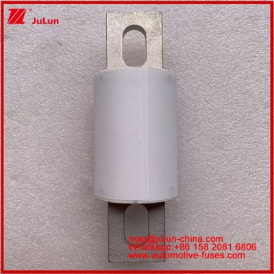RS309-MD 400A 500VAC 200KA 500VDC 50KA AR 튜블러 세라믹 자동차 안전 장치 볼트 설치 반도체 보호