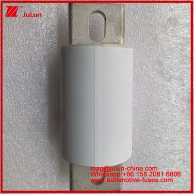RS309-MF S 600A 750VDC 도로 튜블 세라믹 자동차 장치 및 장비 50KA 에너지 저장 및 전력 시스템 주파수 변환 컨트롤러 FUSE 충전기 전기 차량