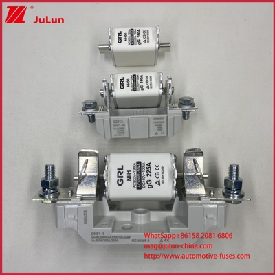 고속 블로우 AR 타입 HRC 퓨즈 링크 AC500V 120KA 세라믹 퓨즈 블레이드 퓨즈 NT00C/NT000 CE 인증 160A 고/저 차단