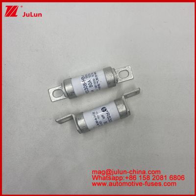 SCREW BOLT RS308-HB-4G 20A 60A Ceramic Automotive Fuses for Voltage Applications up to AC690V/DC550V