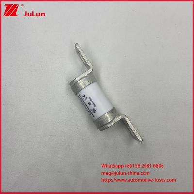 Variable Frequency 550AVDC Controller 50A 63A Vehicle Fuses RS308 Industrial-Grade Ceramic  For Heavy-Duty Vehicles Rated Current 10A To 710A Rated Voltage AC690V/DC550V