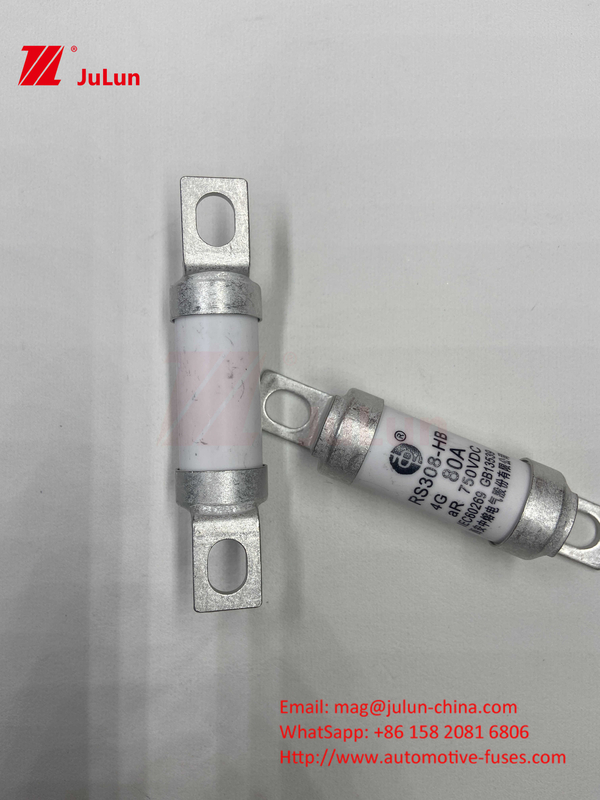 750VDC 세라믹 자동차 퓨즈 14. 세라믹 튜브 20x46mm 15A 40A 50A RS308 HB G 퓨즈 750VDC EV325 100A