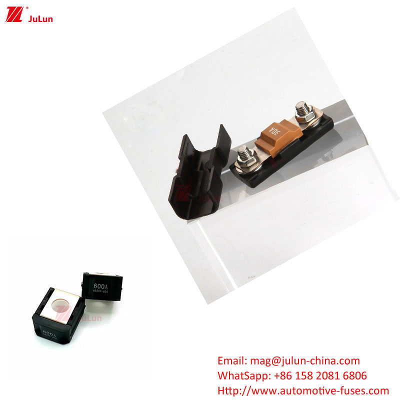 ANS / MIDI 소 프리미엄 피지 홀더 자동차 예비 부품 딜러 30A-500A EU UL 표준 볼트