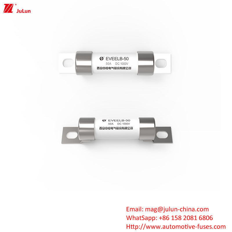 볼트 스크루 보호 EV 휴대용 EV 충전기 피지 휴대용 충전 솔루션 DC1000V 10A-50A