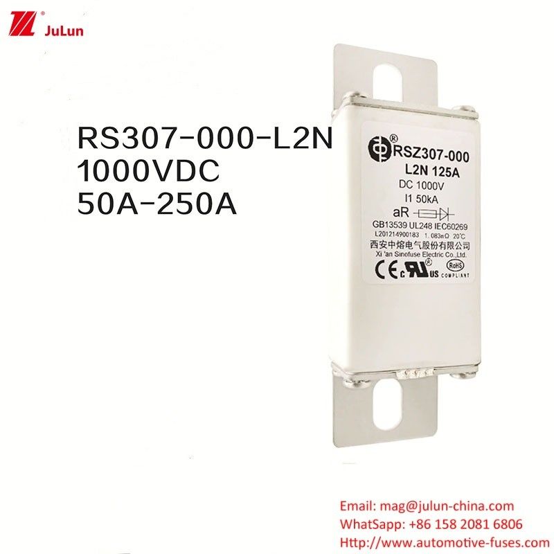 100A 볼트 ON EV DC 급 충전기 / 전기 차량 급 충전 RSZ307-000-L2N 피지
