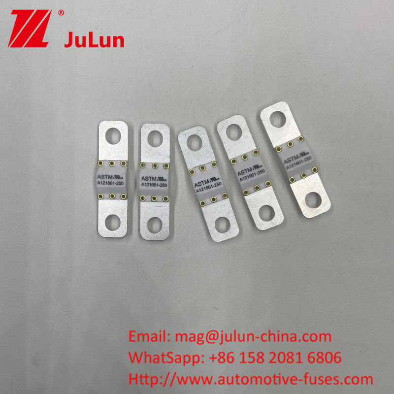 125 VDC 자동차 배터리 충전기 피지 A121601-300A 배터리 에너지 저장 모터사이클
