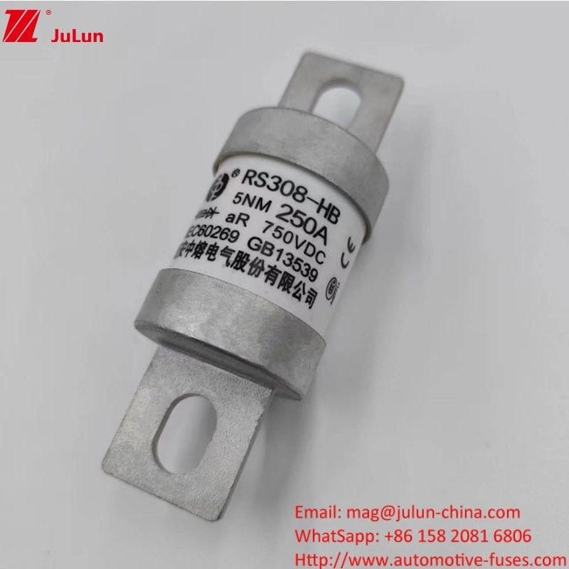 200A 250A 300A -400A 전기 차량 피지 스크루 M8 M6 장착 방법 터미널 타입 750VDC 에너지 피지