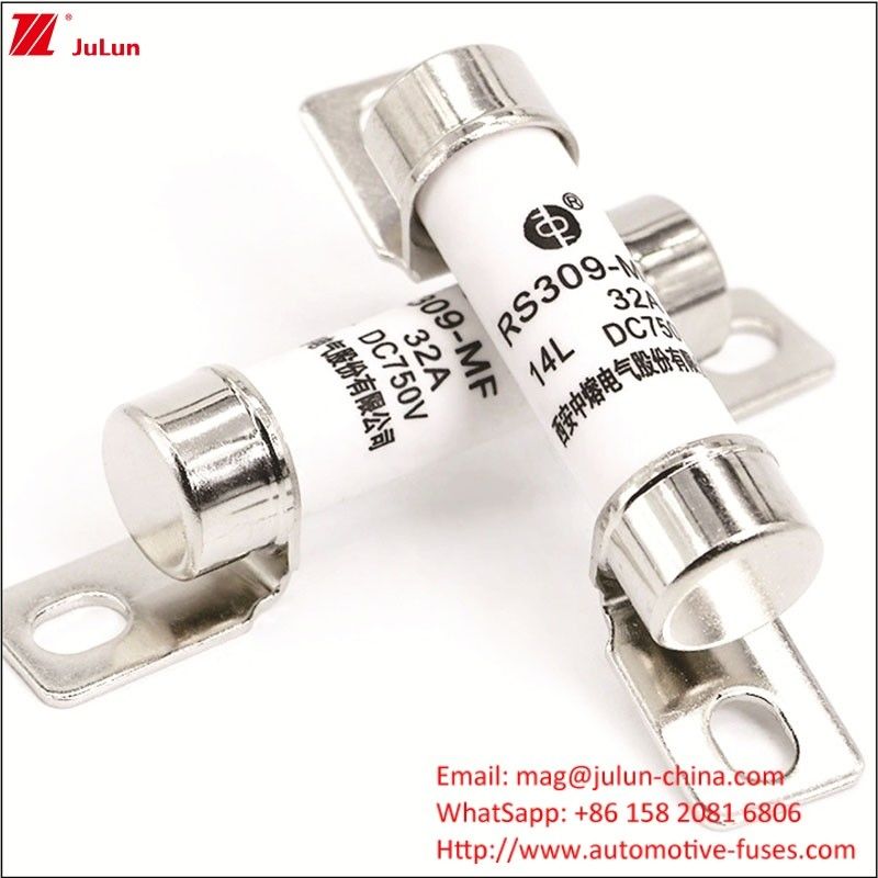 RS309 750VDC 32A 40A 전류 자동차 배터리 충전기 및 에너지 전기 차량 퓨즈 750VDC 터미널 유형