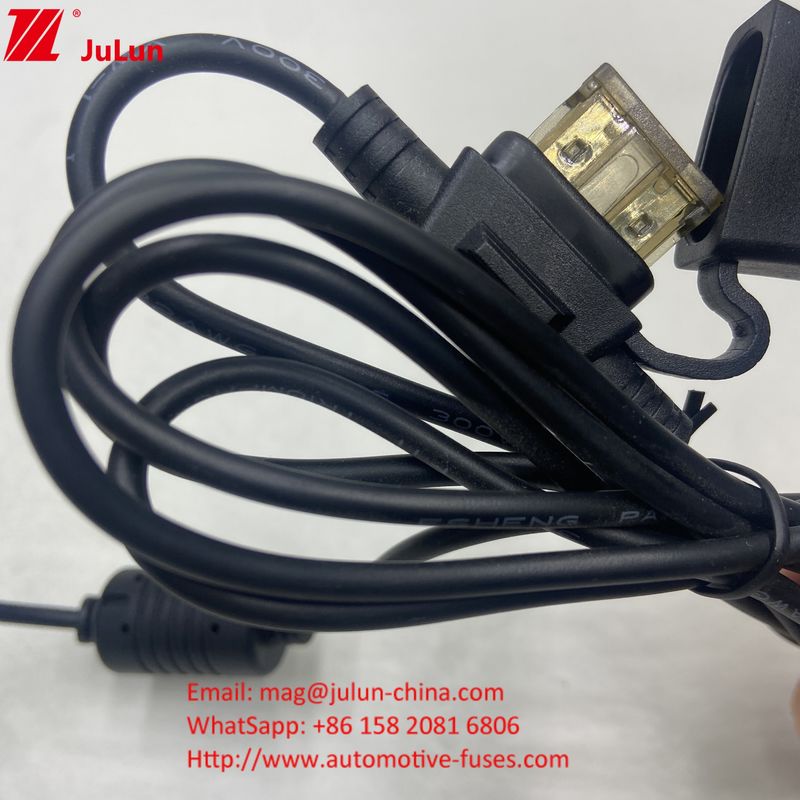 품질 보증 메가카 8Awg 오토 인라인 방수 피지 홀더 1A 2A 3A 5A 7A 8A 10A 12A 15A 20A 25A 30A 80A