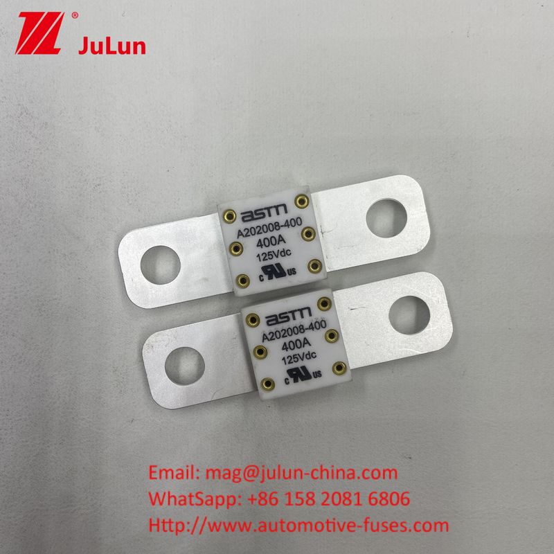 125VDC A202008 125VDC 200A 전압 휴대용 EV 충전기 퓨즈 전기 차량의 최종 충전 솔루션