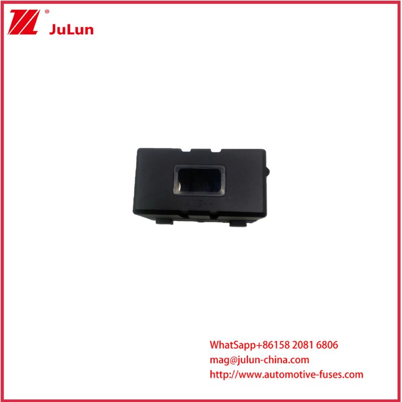 전기 차량 피지 홀더 피지, 덮개 피지 안스 ANL ANM 구리 터미널