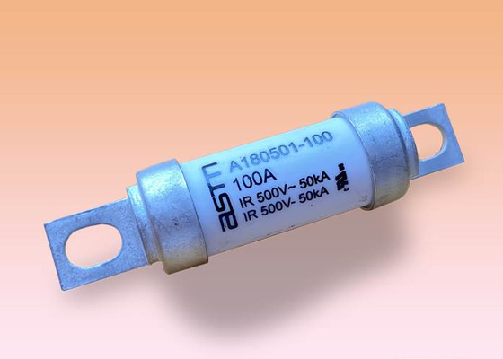 전자를 위한 100 Amp 카 퓨즈 500v AC 전압 화이트 색이 빨리 작동합니다