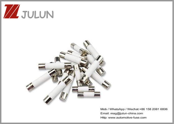 전자 레인지를 위한 5X20Mm 통신 15A 250V 요업 퓨즈
