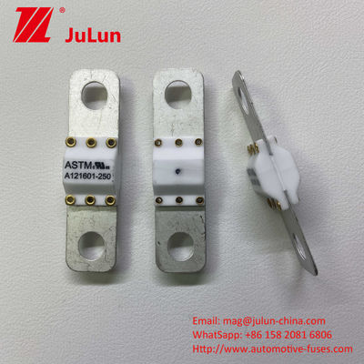 100A 휴대용 EV 충전기 도구 화재 보호 고 단절 단회로 보호 피지