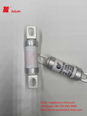 750VDC 세라믹 자동차 퓨즈 14. 세라믹 튜브 20x46mm 15A 40A 50A RS308 HB G 퓨즈 750VDC EV325 100A