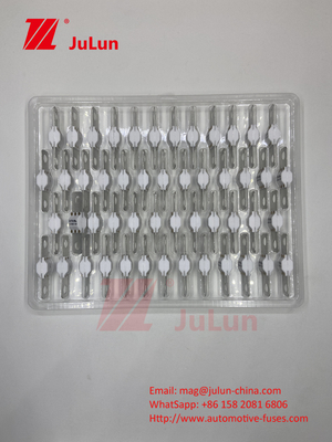 세라믹 자동차 ASTM A121601 퓨즈 전기 차량 300A 125VDC 충전 에너지 저장