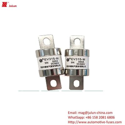 EV 볼트 스크루 전압 전기 전력 피지 150A-500A 250A 300A 400A 500VDC 산업용 500V 20KA 보호