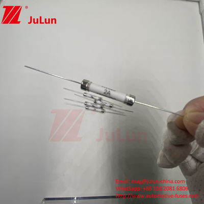 HV620 2A 3A 800mA 1000VDC 6x30mm 서보 모터 빠른 작용 세라믹 튜브 피지