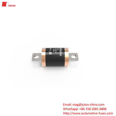 10KA 20KA 300A 전기차 피질 단회로 보호용 최대 정압 500VDC