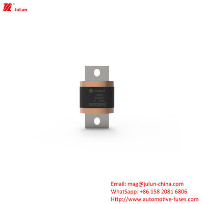 EV8-MKM 450A-1000A DC500V 전기차 단말기 위한 박스 안전 피지
