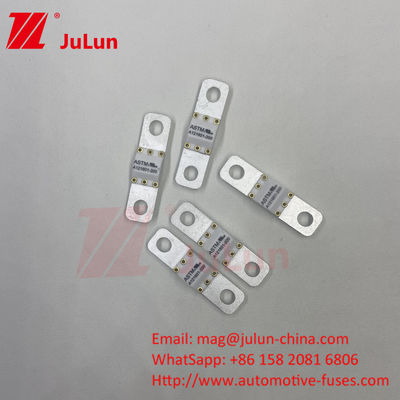 ASTM 퓨즈 121601 80A 125VDC 전기 자동차 퓨즈