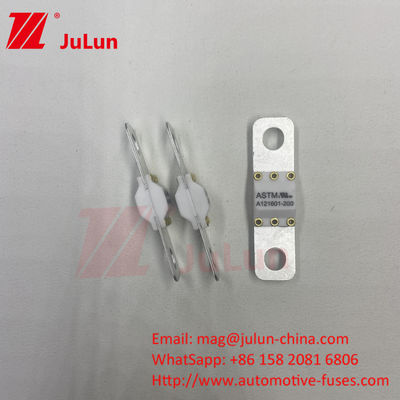 전기차용 ASTM 200A EV 피지 125VDC
