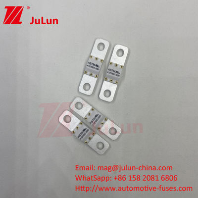 ASTM 300A 125VDC 볼트 스크루 EV 퓨즈 중간 퓨징