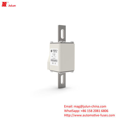 160A-550A DC1000V 전기 차량 피지 RSZ307-1-Q5Z 터미널 타입 볼트 オン 피지