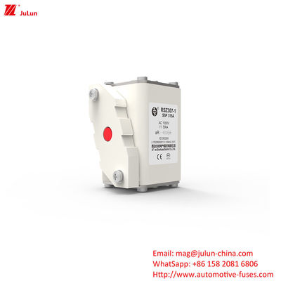 315A AC1000V 휴대용 EV 충전기 높은 파열 용량 자동차 피지