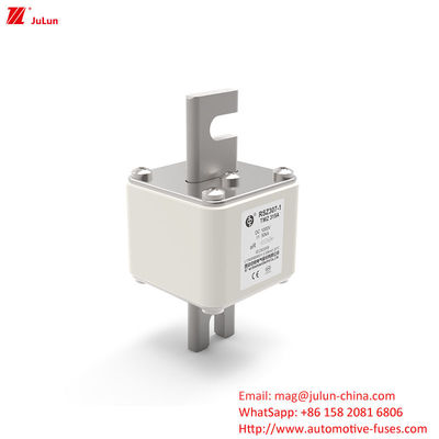 RSZ307 200A-450A DC250V 전기차 피지