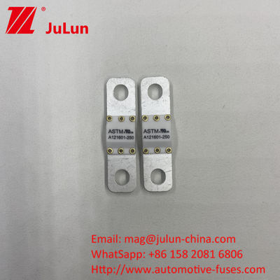A121601-80A ASTM 125VDC 50A-100A 전기차 배터리 에너지 저장 피지